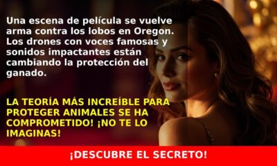 Drones con voz de Scarlett Johansson ahuyentan lobos y protegen el ganado