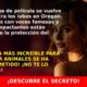 Drones con voz de Scarlett Johansson ahuyentan lobos y protegen el ganado