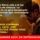 El Príncipe Harry Absuelto: Lo Que Revela el Caso Sentebale