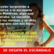 Isabel Preysler se une a la viaje de Tamara e Íñigo en Maldivas y causa revuelo