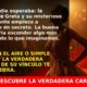 Greta Thunberg y su misterioso acompañante: ¿Nueva pareja en la vista?