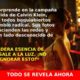 Rosalía conquista la campaña más sensual de Calvin Klein para 2025