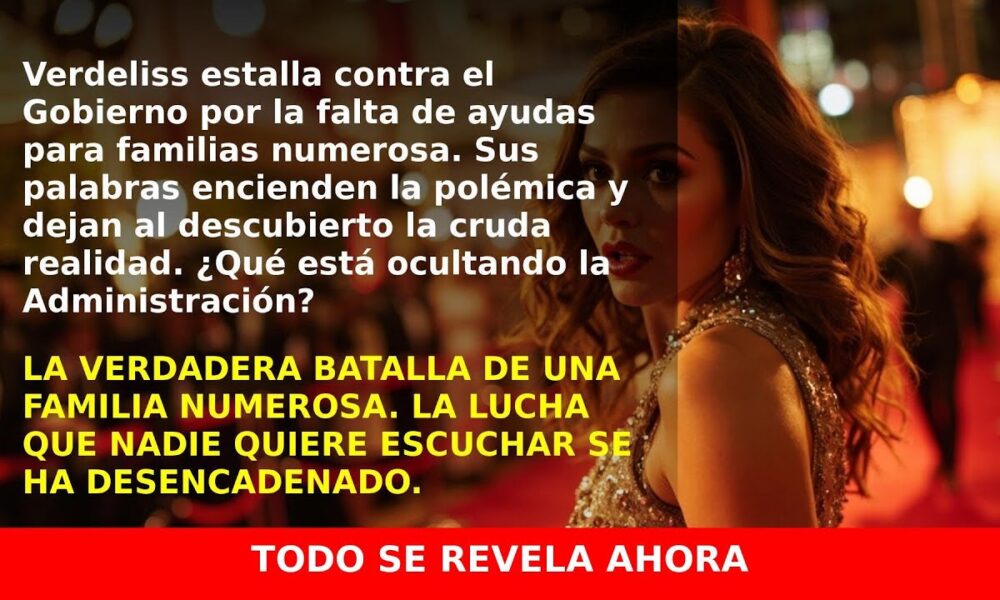 Verdeliss denuncia la falta de ayudas del Gobierno para familias numerosas