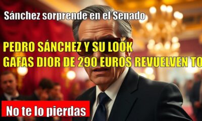 Sánchez sorprende en el Senado con gafas Dior de 290€: ¿nuevo look?