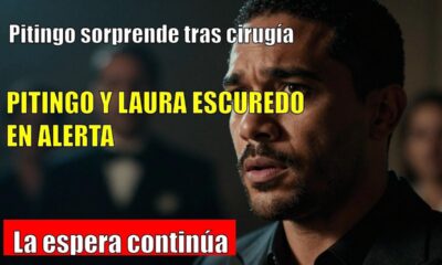 PITINGO SORPRENDE tras suspensión de conciertos