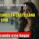 Lolita Flores LUCE su piso en la Castellana con vistas de ensueño
