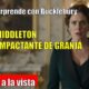 Pippa Middleton ANUNCIA la venta de Bucklebury Farm Park